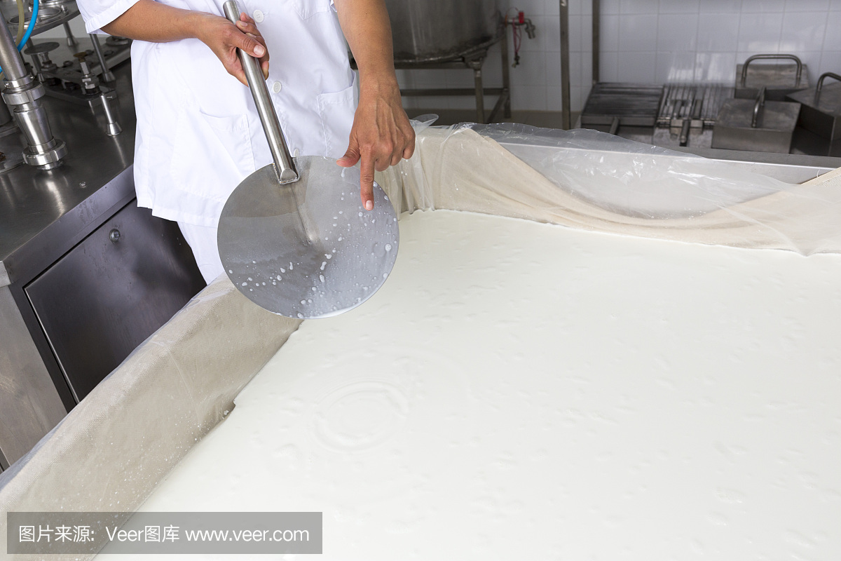 奶酪生產,乳脂,乳品工人凝固